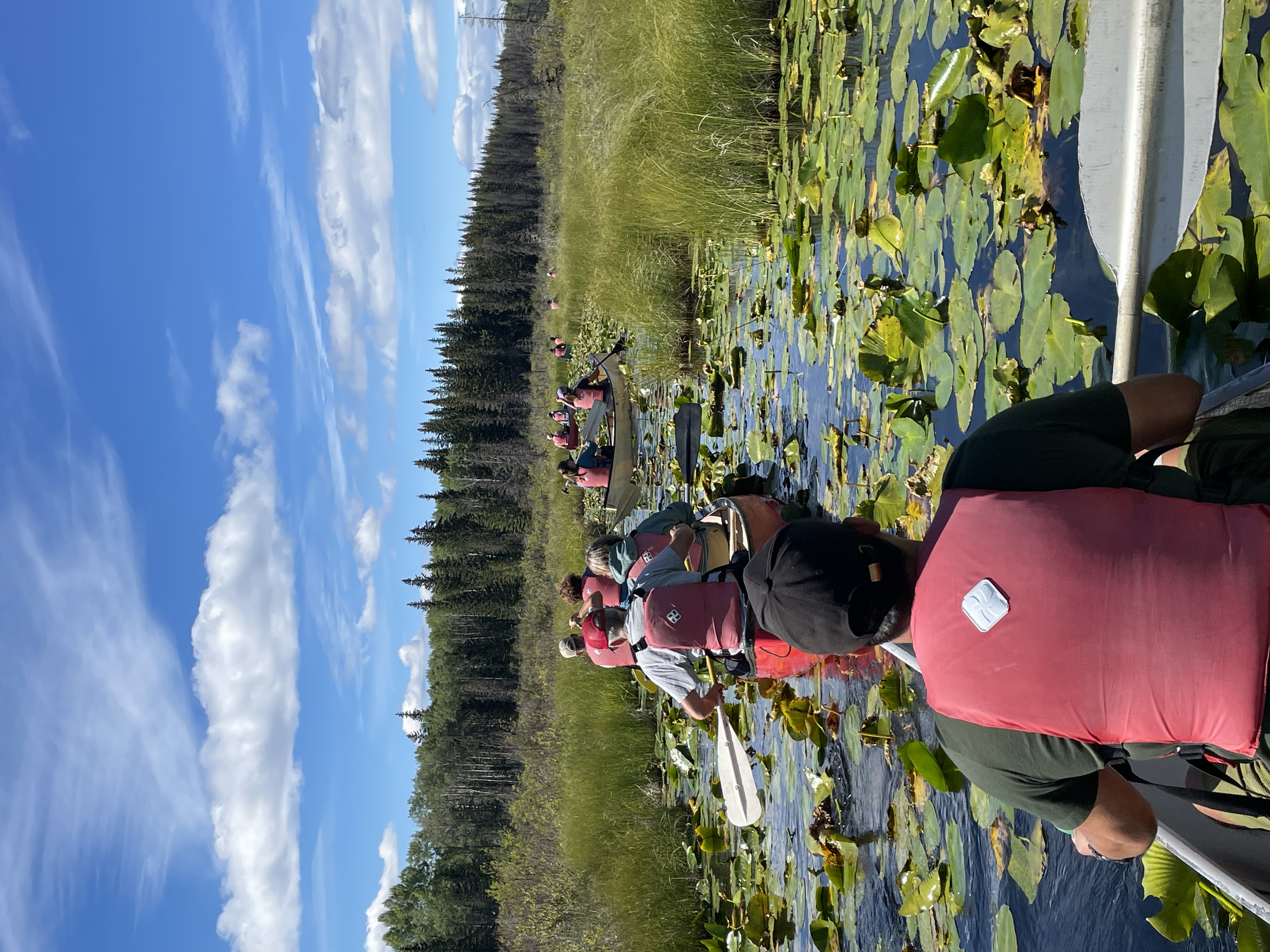 Follow the Leader alina cameron
