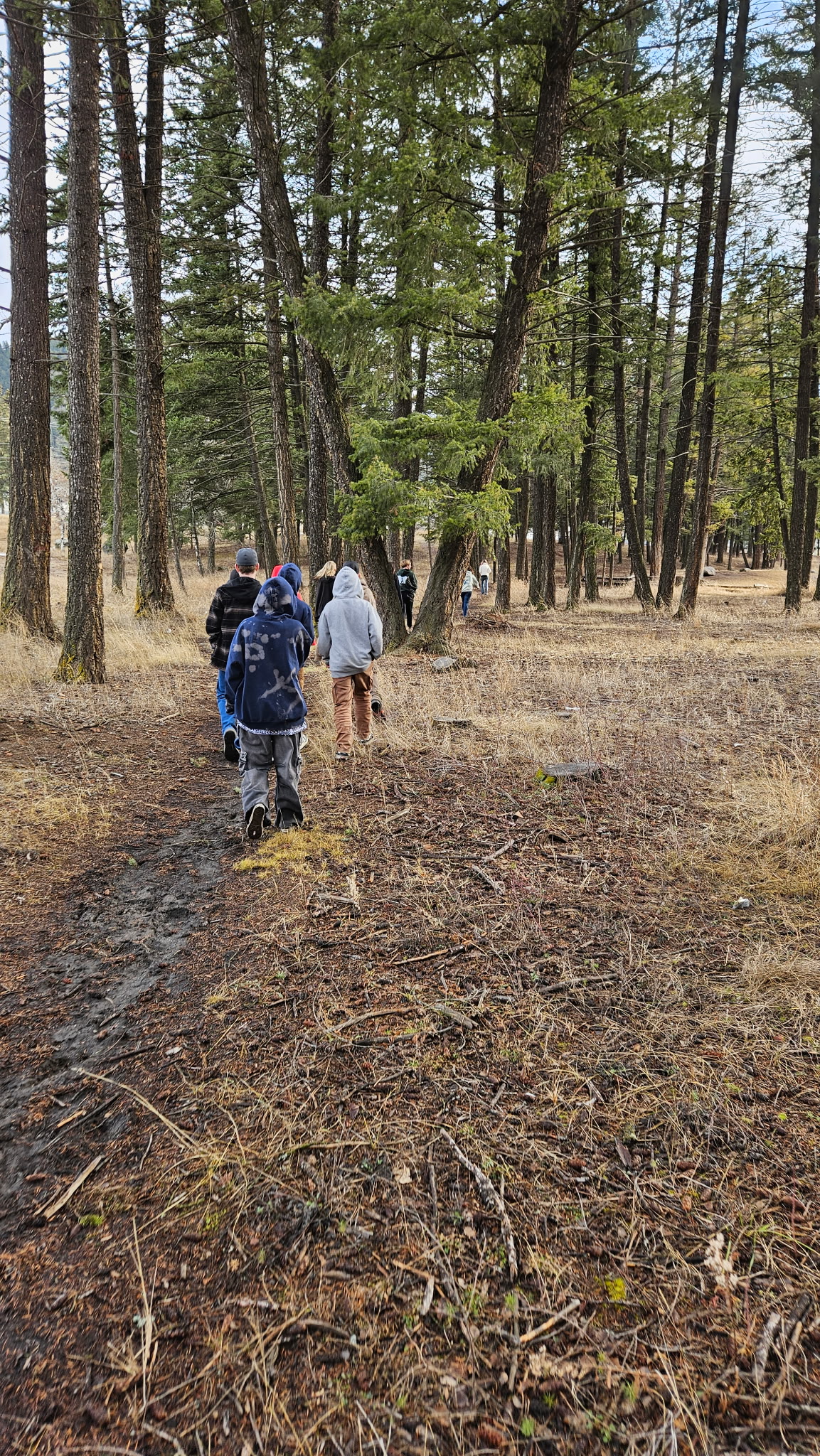 Daily walks for the win holly zurak